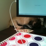 Good place for a nap?